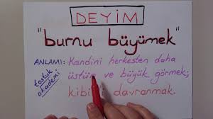 010 Burnu Buyumek Deyiminin Anlami Ve Ornekler Youtube