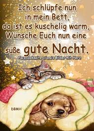 Pin Von Gaby Spieltundbastelthier Auf Gute Nacht Gute Nacht Nacht Gute Nacht Lustig