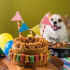 Pastel De Cumpleanos Para Perro Receta Pastel De Cumpleanos Para Perros Fiestas De Cumpleanos Para Perros Recetas De Pasteles Para Perros
