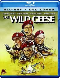 Entdecke rezepte, einrichtungsideen, stilinterpretationen und andere ideen zum ausprobieren. 720p Hd Mkv Movies Download Khatrimaza