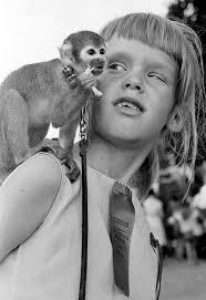 Honoring Nashville's furry friends