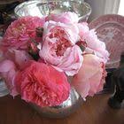 Make Your Own Flea Shampoo Natural Dog Shampoo Flea Removal Dog Shampoo