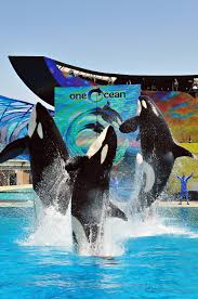 SeaWorld San Diego with Small Children TRAVEL GUIDE