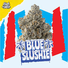 High 90s : Blue Slushie 3.5g Flower - HIGH 90s