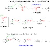Explain the sulphonation of benzene with reaction class 12 ...