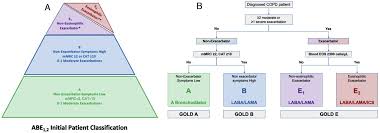 Image result for COPD Exacerbation Decision Tool