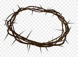 Feel free to post this kinda pics in here to make a collection place for crown of thorns. Crown Of Thorns Png Background Passion Wod Faith Rx Transparent Png 960x720 2518005 Pngfind