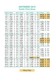 49 Punctual Hug Point Tide Table 2019