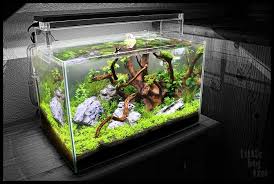 Add color and atmosphere to your aquarium with fun fish tank decorations.*free* shipping on orders $49+ and. The Best 15 Gallon Fish Tanks For 2020 Top 6 Reviews Buying Guide