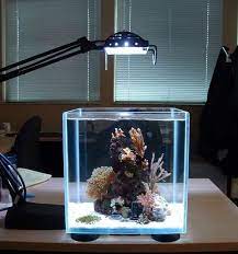 17 Remarkable Aquarium Designs To Enhance Beautify Your Interior Aquarium Design Mini Aquarium Aquarium