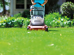 Herkules rasenmäher, rasentraktor, aufsitzmäher, motorsense. Akku Rasenmaher Tipps Der Gartenflora Gartenflora