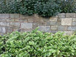 We did not find results for: Landscape Design Archives Garden Design Inc