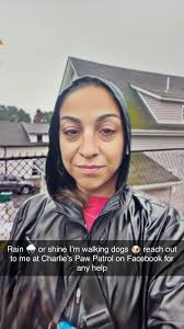 Consistent training is key to dog behavior