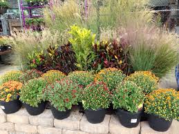 Check spelling or type a new query. 15 Lowe S Garden Center Displays Ideas Garden Center Displays Lowe S Garden Center Garden Center