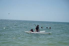 Having Fun Paddle Boarding Picture Of Clam Pass Park