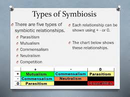 Symbiotic Relationships Ppt Download