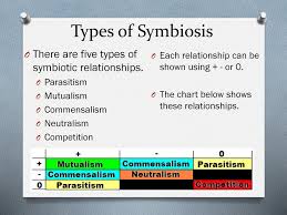 symbiotic relationships ppt download