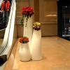 Hanging indoor plants styling & decorating with macrame plant hanger, plant decor ideas, jungle room. 1