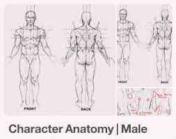 Character Pose References Male Visual Library visual library