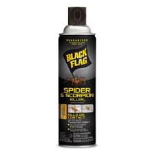 Amazon best sellers our most popular products based on sales. The Best Spider Killers For Diy Pest Control Bob Vila