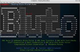 Bluto V2 4 13 Releases Open Source Information Gathering Tool Software Security Best Hacking Tools Camera Hacks