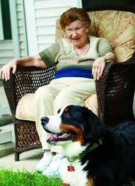 In Dog Fancy S Article Retirement Revolution Author Lynn M Hayner Reveals The 1 Requested Amenity In Senior Living Facil Therapy Cat Fancy Dog Dog Friends
