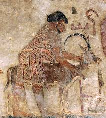 This was a special mark of jacob's favor to joseph, and it made. Coat Of Many Colors Wikipedia
