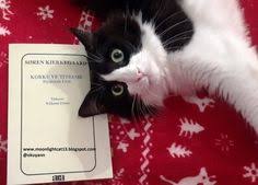 Moonlightcat13 Korku Ve Titreme Soren Kierkegaard Korku Inanc Kedi