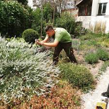 Schon Wenn Der Azubi Sich Heutzutage Noch So Fur Die Natur Begeistert Da Ist Der Erste Grundstein Doch Richtig Garten Design Garten Landschaftsbau Gartenbau