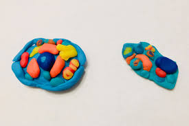 We did not find results for: Animal And Plant Cells For Kids Spongy Kids