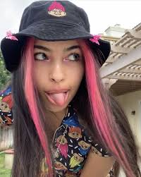 Ella Birak Hair Color Streaks Hair Streaks Aesthetic Hair