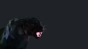 Check spelling or type a new query. 4k Wallpaper Black Panther Animal Wallpaper Hd 1080p