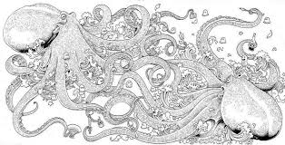 Animorphia Octopus Coloring Book Ocean Animorphia Coloring Book Animorphia Coloring Coloring Books