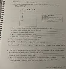 Carcinoembryonic antigen (cea) is a cancer marker. 5 The Dna Sample Removed From Angie S Tumor Was L Chegg Com