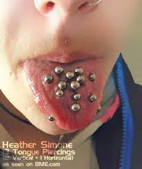 13 Tongue Piercings And Climbing Bme Tattoo Piercing And Tongue Piercing Body Peircings Gum Piercing