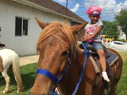 In addition to independent petting zoos, many general zoos contain a petting zoo. Party Rentals Services In Northern Nj New Joy Farm Entertainment