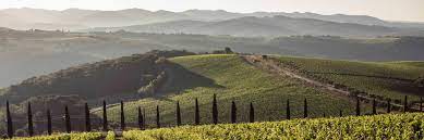 All wine tasting tours are delivered by 4 tour agencies in tuscany. Tuscany Wine Tours Experience Unique Wine Tasting Tours In Tuscany