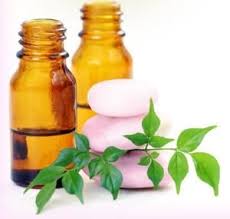 Les Huiles Essentielles Coupe Faim Huiles Essentielles Aromatherapie Coupe Faim Naturel Huile Essentielle Coupe Faim Coupe Faim