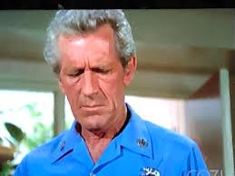 What is the name of the TV show about a priest living