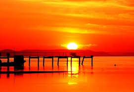 Ada dua buah pohon kelapa di pinggiran pantai. Horizon Japan Sunrise Wallpaper Free Best Pics