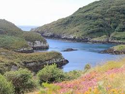 Beara Peninsula Pulleen Harbour Ireland Holiday Rental Holiday Cottage Vacation Books