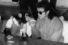 Where Is Michael Jackson’s Chimpanzee Bubbles Now? Inside His ‘Peaceful’ Life and Why Filmmakers Used a CGI Chimp in ‘Michael’