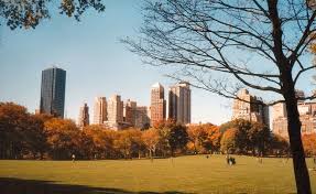 Pin By Joseph Salamea On Ciudades Estados Unidos Central Park Del Norte York