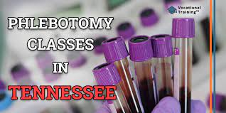 Check spelling or type a new query. Phlebotomy Training In Tennessee Paid Classes Info 2021 Updated