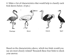 Meeting people for the first time we always make a judgement based on their appearances though the proverb tells us not to make this mistake. Solved 4 Make A List Of Characteristics That Would Help Chegg Com