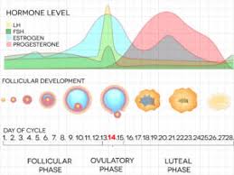 Ovulation Tracking With Pcos Ovusense Pcos Diet Support