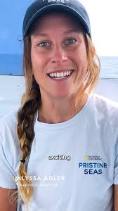 Last year, we had the...