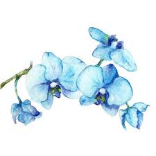Blue Orchids One Botanical Art Print Of Watercolor Painting Flower Spring Blue Turquoise Gifts For Her Bright Flowers Wall Art Tropical Watercolor Flowers Paintings Orchids Painting Art Prints