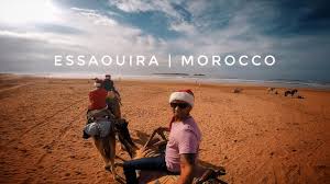 2 reviews of camel trip. Goats In Trees Morocco Day Trip From Marrakech To Essaouira