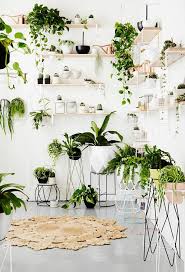 When it comes to decorating with plants, there's no shortage of ideas for making them part of your decor, be it a tall leafy tree in the living room or an array of low light plants and cacti for your office.but knowing what greenery to bring in and how to arrange indoor plants to suit your style and space can be a challenge, especially if. 99 Great Ideas To Display Houseplants Indoor Plants Decoration Balcony Garden Web